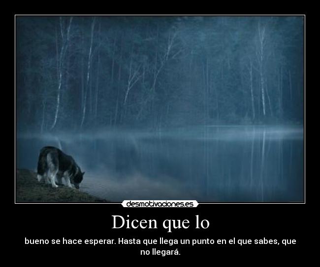 Dicen que lo - bueno se hace esperar. Hasta que llega un punto en el que sabes, que no llegará.