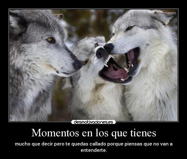 Momentos en los que tienes - 