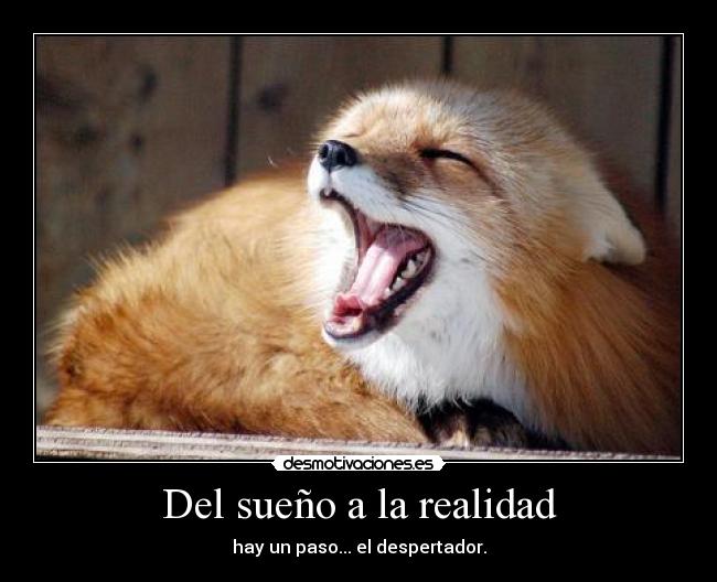 Del sueño a la realidad - hay un paso... el despertador.