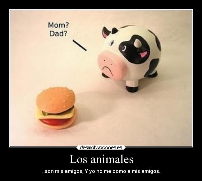 Los animales - 