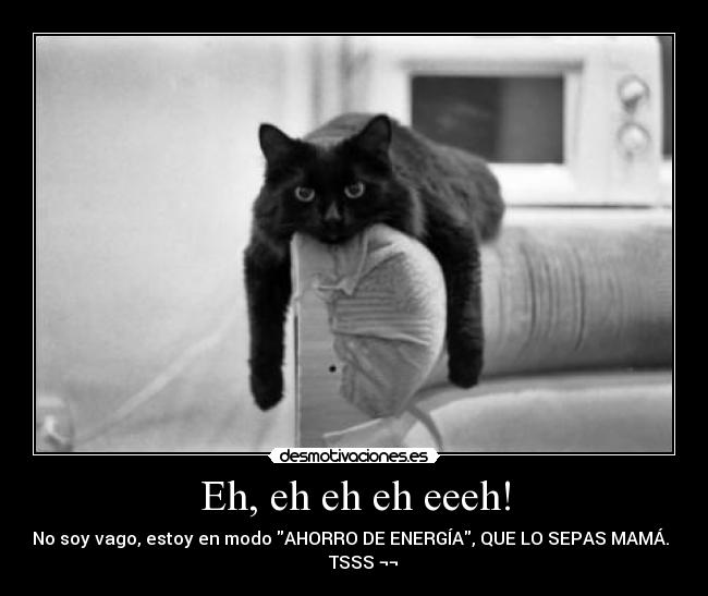Eh, eh eh eh eeeh! - No soy vago, estoy en modo AHORRO DE ENERGÍA, QUE LO SEPAS MAMÁ.
TSSS ¬¬