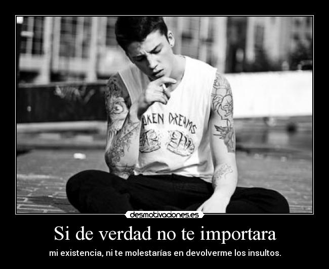 Si de verdad no te importara - mi existencia, ni te molestarías en devolverme los insultos.