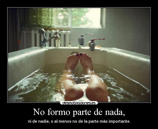 No formo parte de nada, - ni de nadie, o al menos no de la parte más importante.