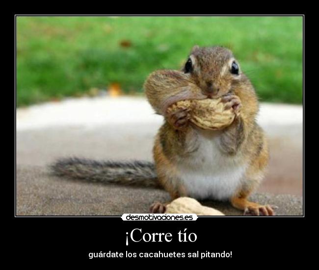 ¡Corre tío - 