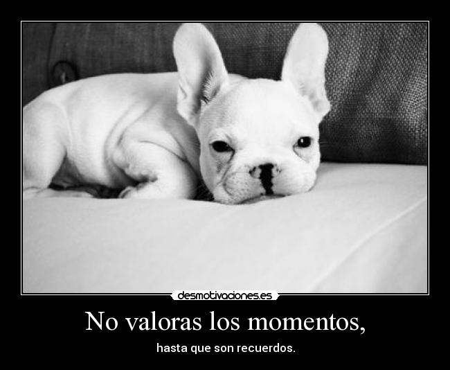 No valoras los momentos, - hasta que son recuerdos.