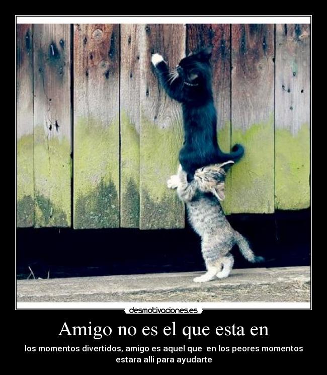 Amigo no es el que esta en - los momentos divertidos, amigo es aquel que en los peores momentos
estara alli para ayudarte