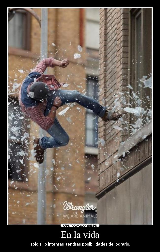 En la vida - solo si lo intentas tendrás posibilidades de lograrlo.