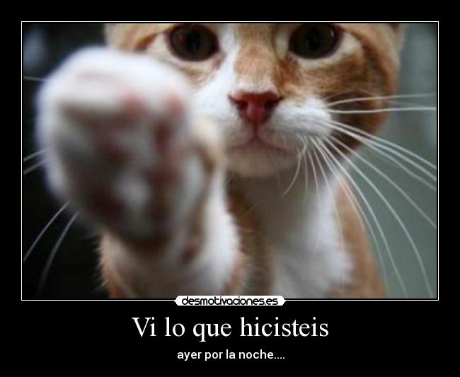 Vi lo que hicisteis -