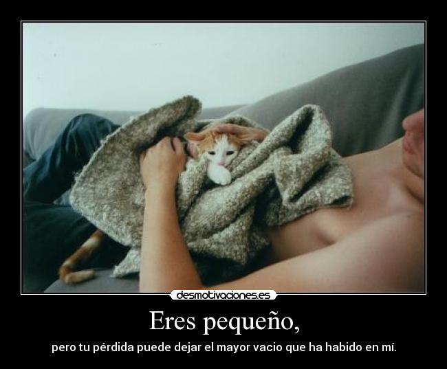 carteles teneis idea del dano que podeis causar veces con las palabras bollicao para todos tifani9 desmotivaciones