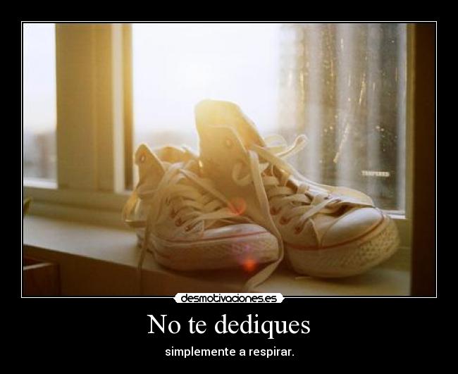 No te dediques -