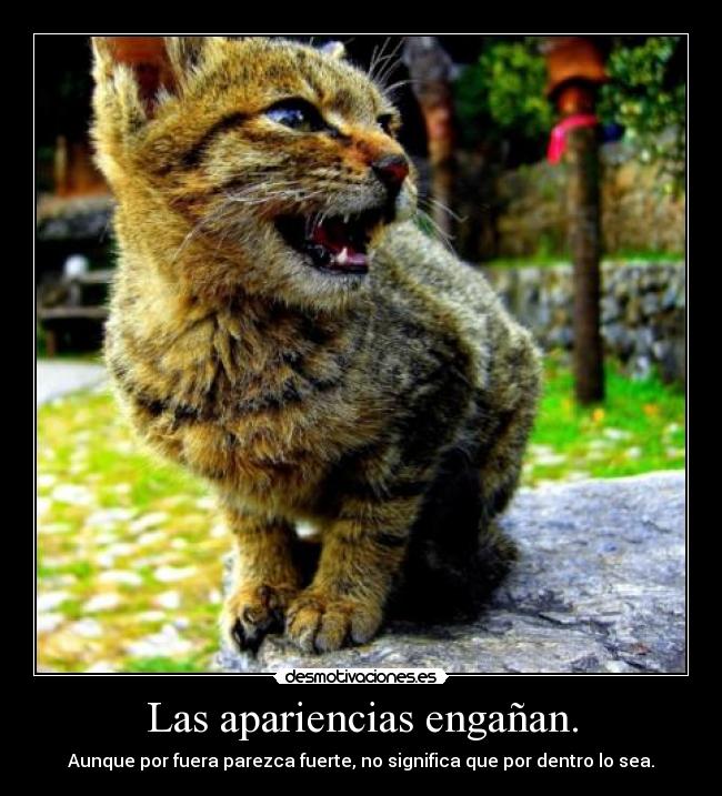 Las apariencias engañan. -