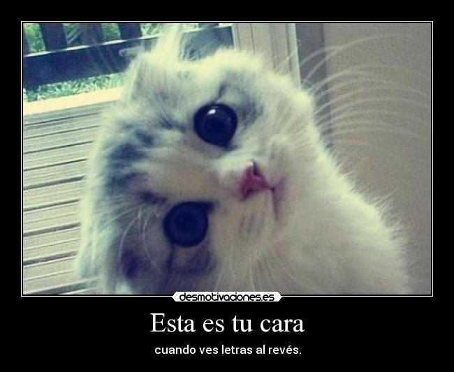 Esta es tu cara -