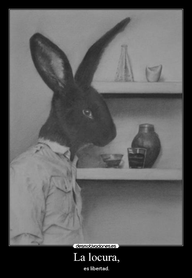 La locura, - es libertad.
