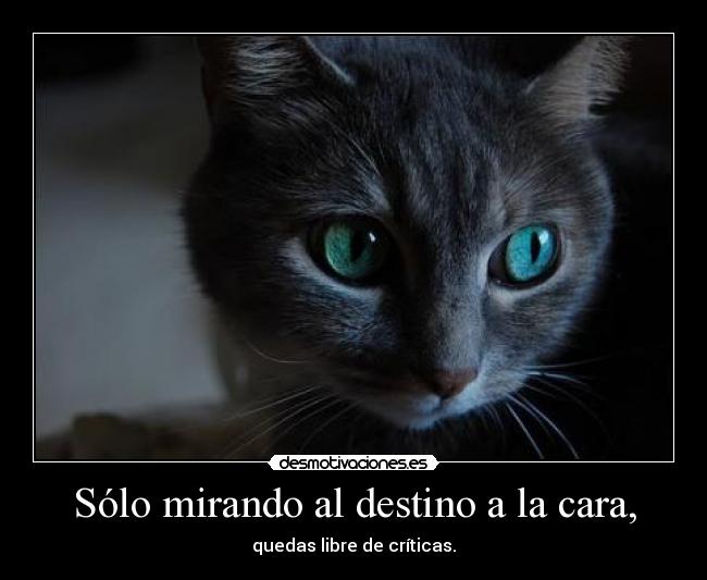 Sólo mirando al destino a la cara, -