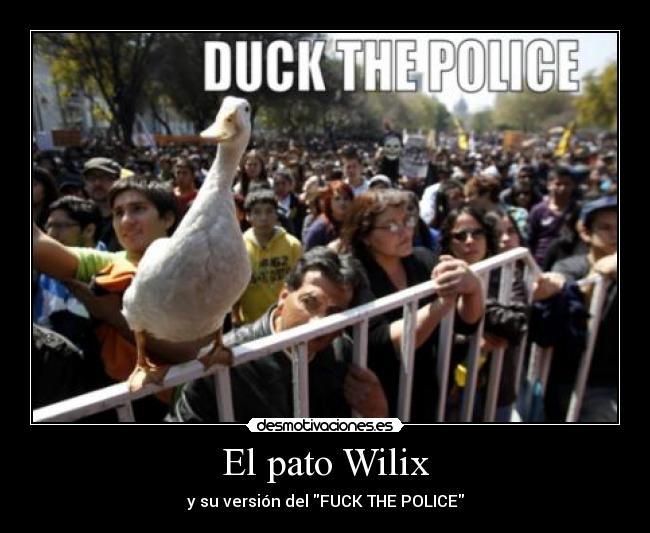 El pato Wilix - y su versión del FUCK THE POLICE
