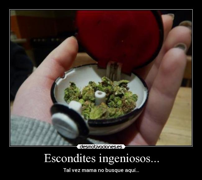 Escondites ingeniosos... - Tal vez mama no busque aquí...