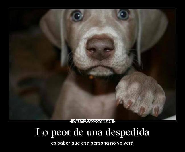 Lo peor de una despedida - es saber que esa persona no volverá.