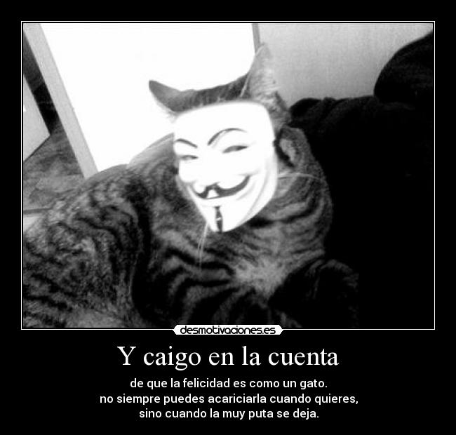 Y caigo en la cuenta - de que la felicidad es como un gato.
no siempre puedes acariciarla cuando quieres,
sino cuando la muy puta se deja.