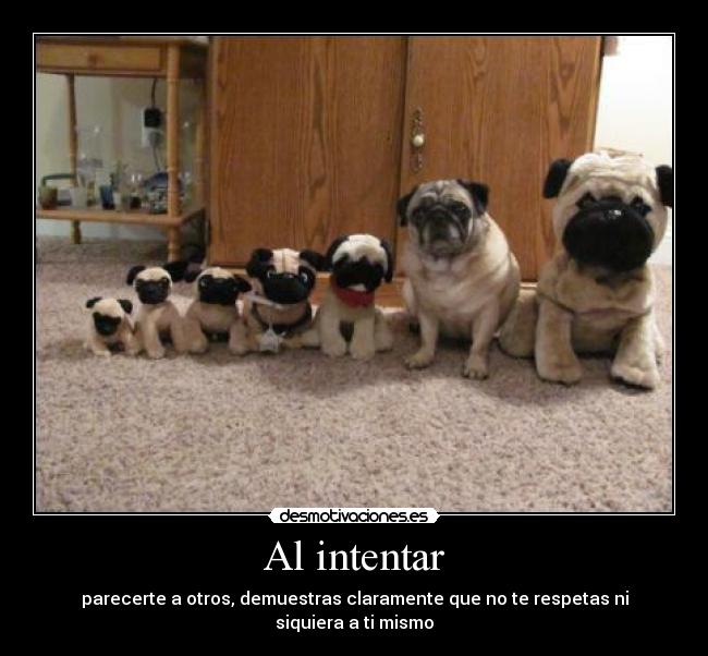 carteles paul borsan desmotivaciones