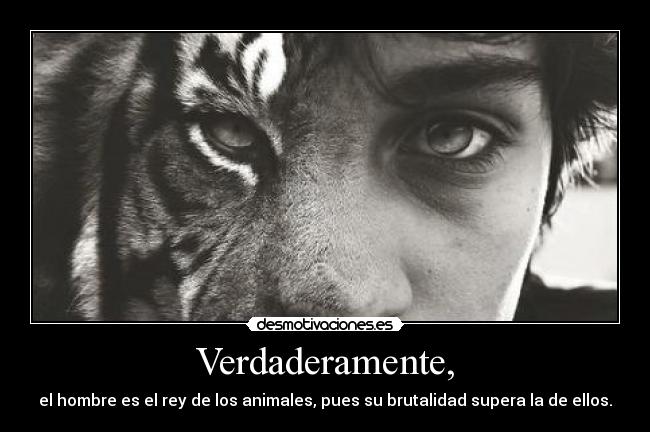 carteles elclanviral alwayscool dkagdsgjmdsgdsgdsdsg guapo que lea desmotivaciones