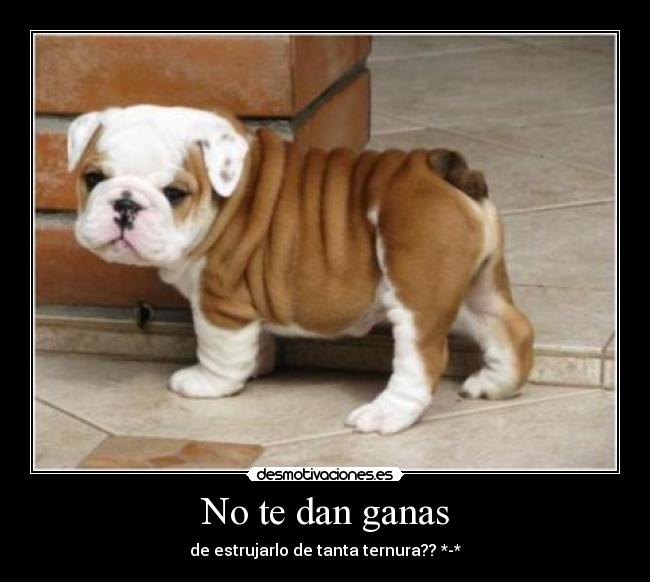 No te dan ganas - 