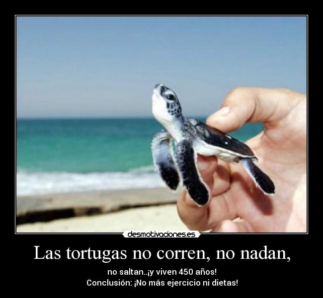 Las tortugas no corren, no nadan, - no saltan..¡y viven 450 años!
Conclusión: ¡No más ejercicio ni dietas!