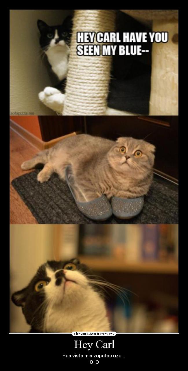 Hey Carl - Has visto mis zapatos azu...
O_O