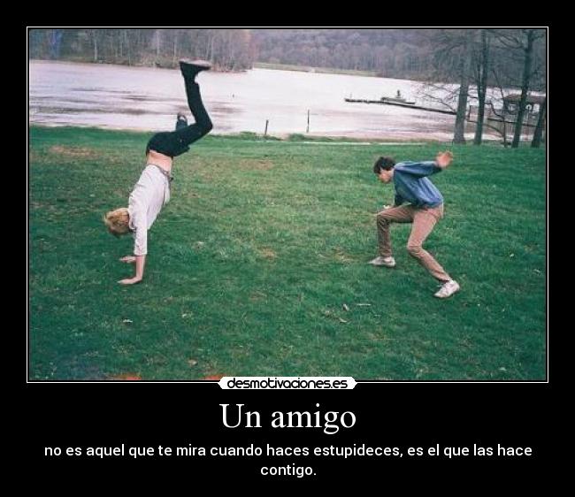 Un amigo - no es aquel que te mira cuando haces estupideces, es el que las hace contigo.