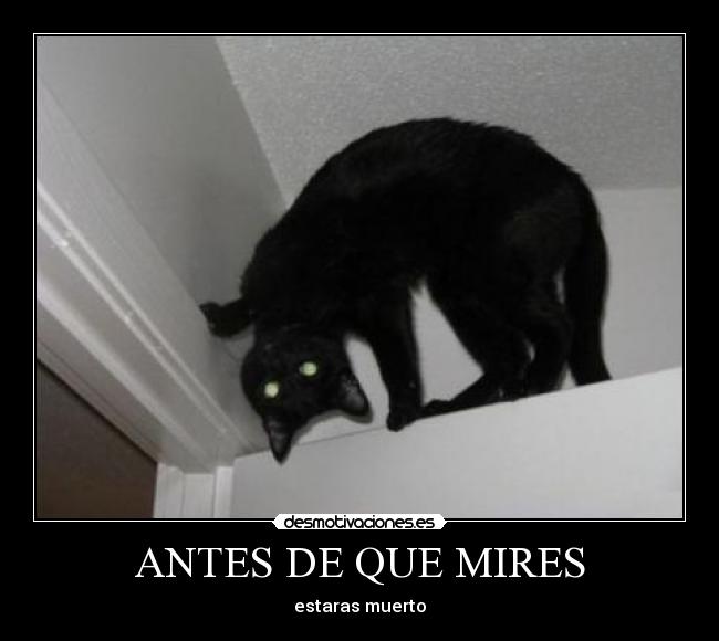 ANTES DE QUE MIRES - estaras muerto