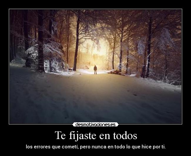 Te fijaste en todos - los errores que cometí, pero nunca en todo lo que hice por ti.