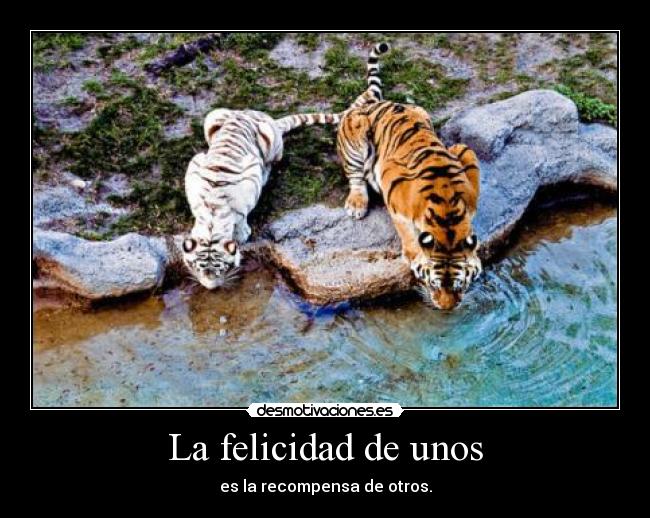 La felicidad de unos - es la recompensa de otros.