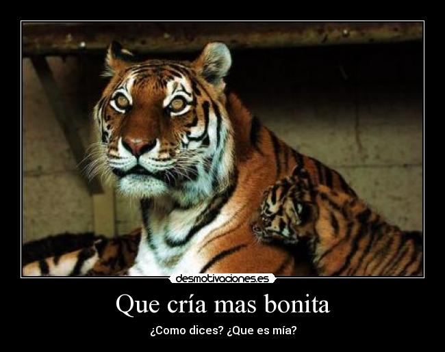 Que cría mas bonita - ¿Como dices? ¿Que es mía?