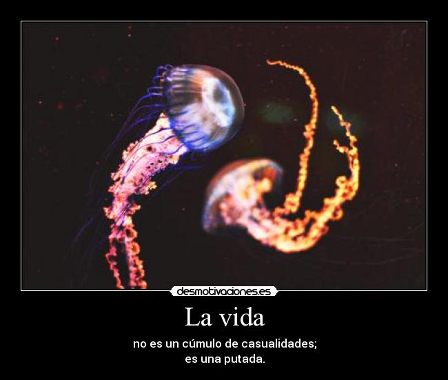 La vida - no es un cúmulo de casualidades;
es una putada.