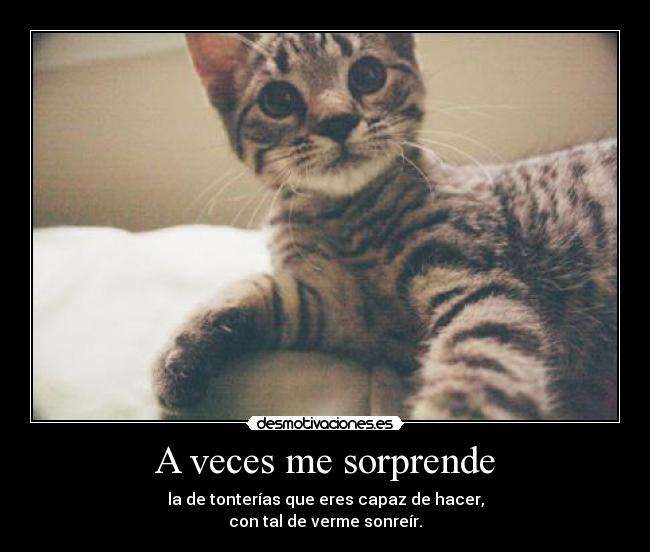 A veces me sorprende - 