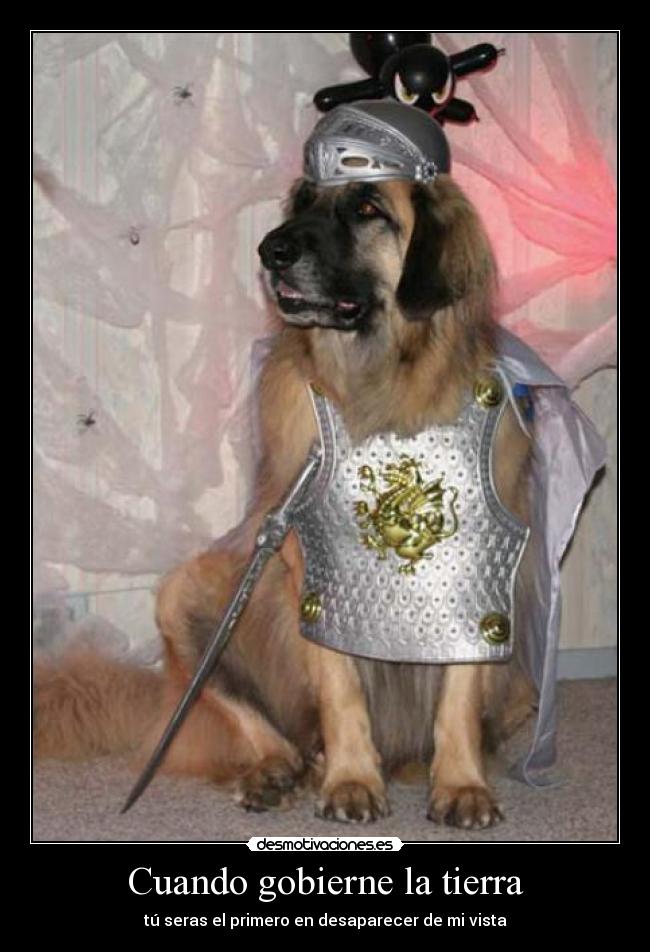 Cuando gobierne la tierra - tú seras el primero en desaparecer de mi vista