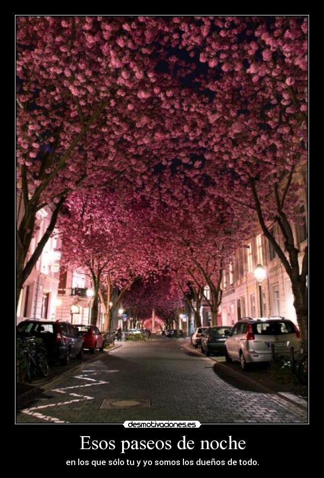 carteles nomiresaqui desmotivaciones