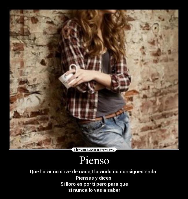 Pienso - 