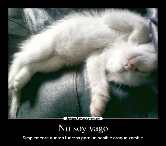 No soy vago - Simplemente guardo fuerzas para un posible ataque zombie.