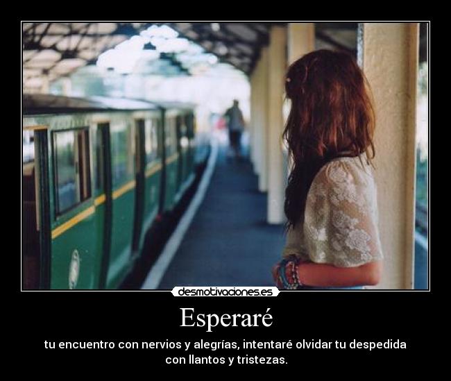 Esperaré - tu encuentro con nervios y alegrías, intentaré olvidar tu despedida
con llantos y tristezas.