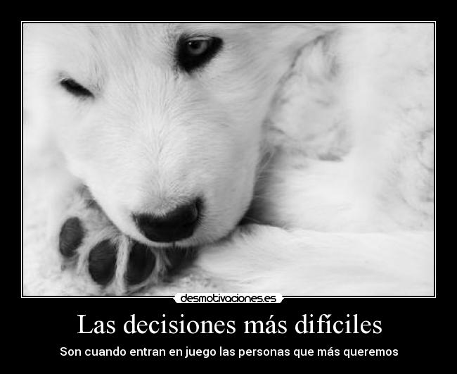 Las decisiones más difíciles - 