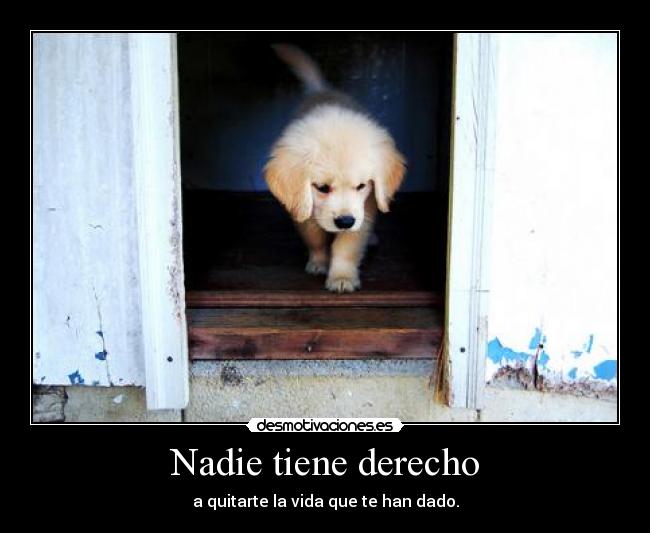 Nadie tiene derecho -