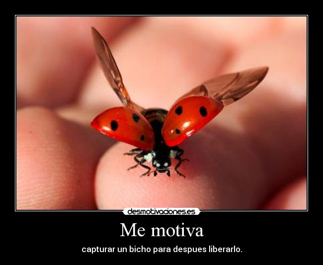 Me motiva - capturar un bicho para despues liberarlo.