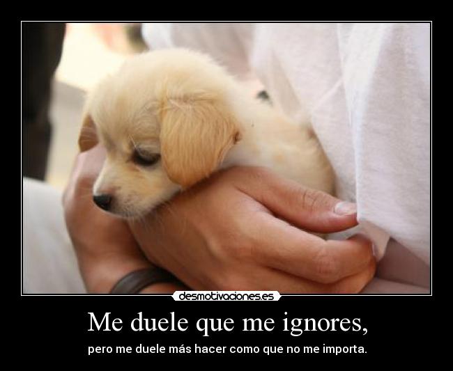 Me duele que me ignores, - pero me duele más hacer como que no me importa.