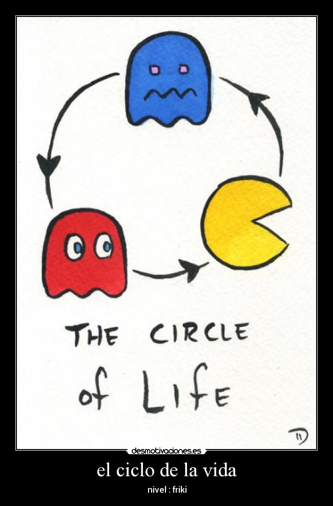 el ciclo de la vida - 