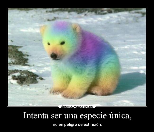 carteles merdaenbote viernes que creen lunes desmotivaciones