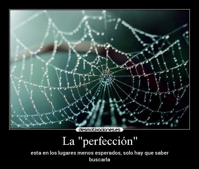 La perfección - 