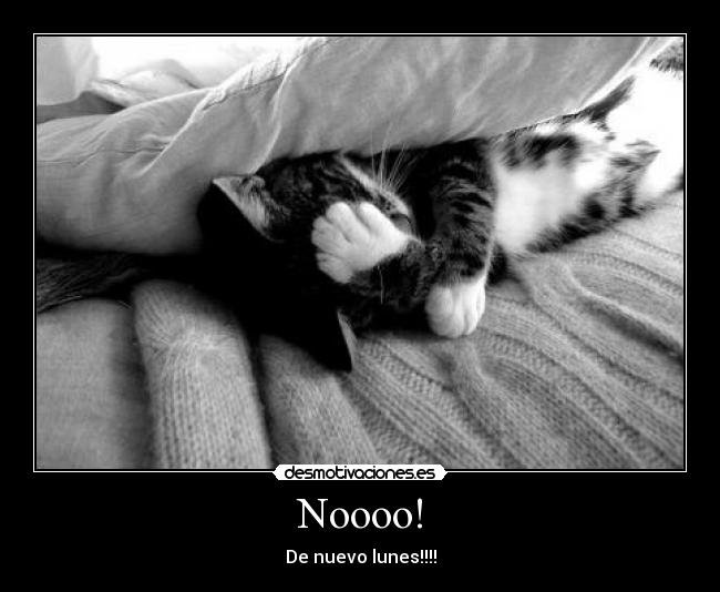 Noooo! - De nuevo lunes!!!!