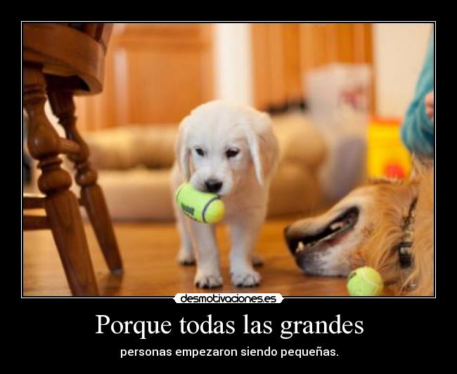 Porque todas las grandes -