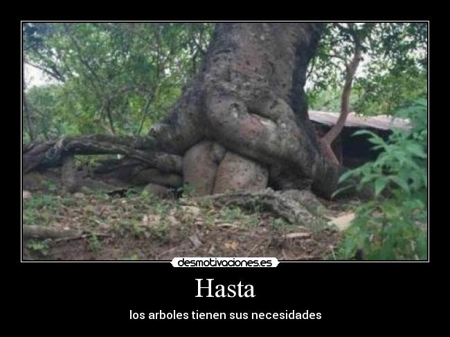 Hasta - los arboles tienen sus necesidades
