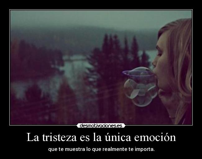 La tristeza es la única emoción - que te muestra lo que realmente te importa.